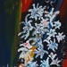Printemps en fleurs - Huile sur toile de lin - 50 x 100